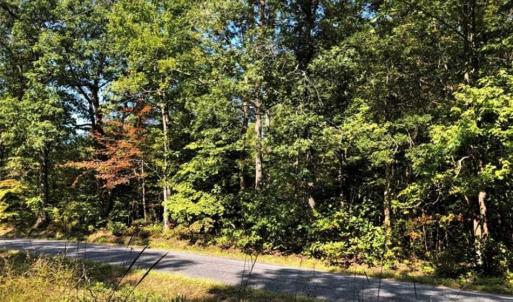 Photo of 1.5 Acres of Residential Land for Sale in Richmond County VA!