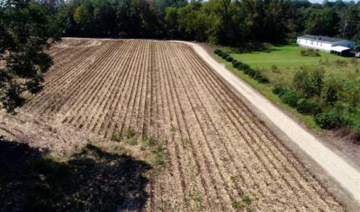 Photo of UNDER CONTRACT!!  31 Acre Timber and Farm Land for Sale in Bertie County NC!