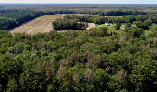 Photo of UNDER CONTRACT!!  31 Acre Timber and Farm Land for Sale in Bertie County NC!