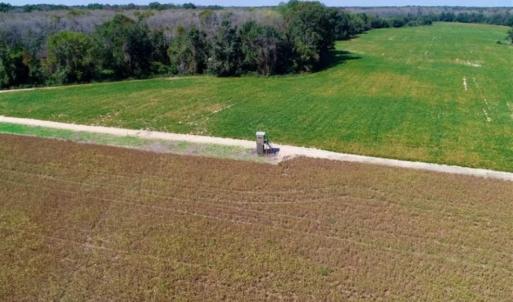 Photo of UNDER CONTRACT!!  31 Acre Timber and Farm Land for Sale in Bertie County NC!