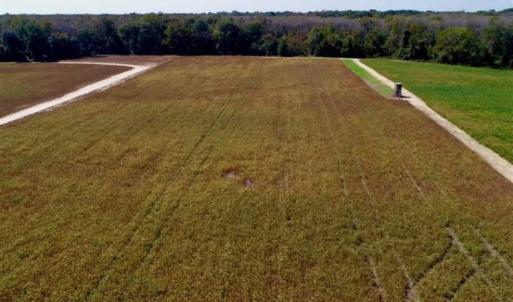 Photo of UNDER CONTRACT!!  31 Acre Timber and Farm Land for Sale in Bertie County NC!