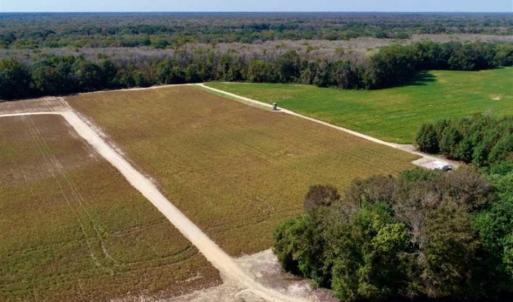 Photo of UNDER CONTRACT!!  31 Acre Timber and Farm Land for Sale in Bertie County NC!
