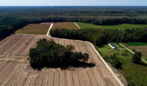 Photo of UNDER CONTRACT!!  31 Acre Timber and Farm Land for Sale in Bertie County NC!