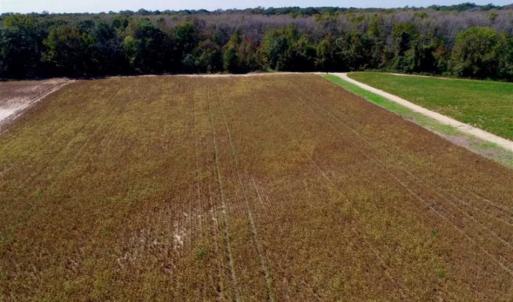Photo of UNDER CONTRACT!!  31 Acre Timber and Farm Land for Sale in Bertie County NC!