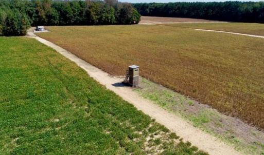 Photo of UNDER CONTRACT!!  31 Acre Timber and Farm Land for Sale in Bertie County NC!