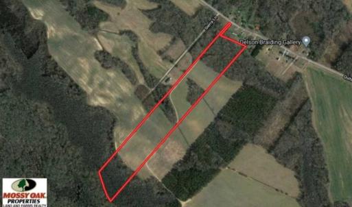 Photo of UNDER CONTRACT!!  31 Acre Timber and Farm Land for Sale in Bertie County NC!