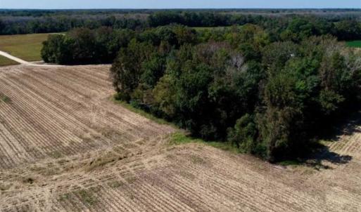 Photo of UNDER CONTRACT!!  31 Acre Timber and Farm Land for Sale in Bertie County NC!