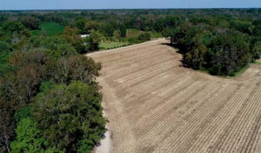 Photo of UNDER CONTRACT!!  31 Acre Timber and Farm Land for Sale in Bertie County NC!