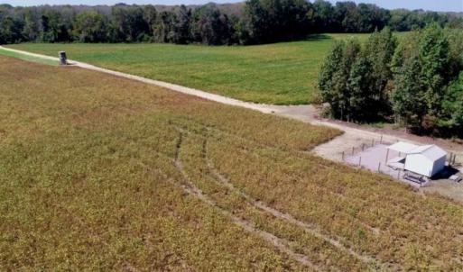 Photo of UNDER CONTRACT!!  31 Acre Timber and Farm Land for Sale in Bertie County NC!