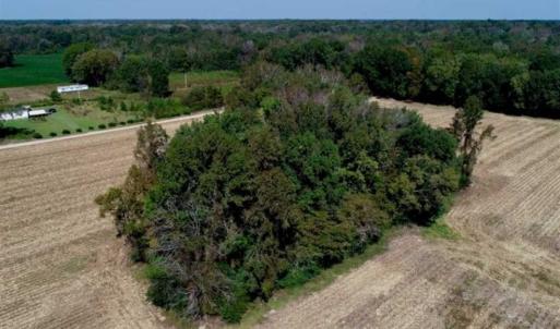 Photo of UNDER CONTRACT!!  31 Acre Timber and Farm Land for Sale in Bertie County NC!