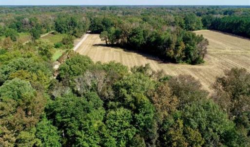 Photo of UNDER CONTRACT!!  31 Acre Timber and Farm Land for Sale in Bertie County NC!