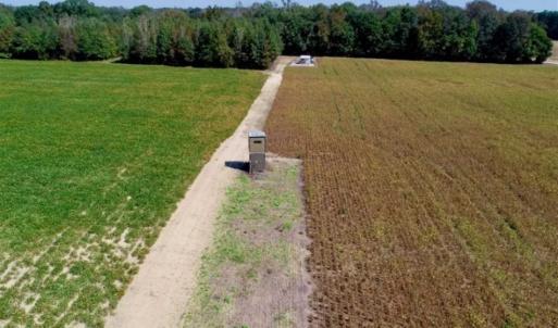 Photo of UNDER CONTRACT!!  31 Acre Timber and Farm Land for Sale in Bertie County NC!