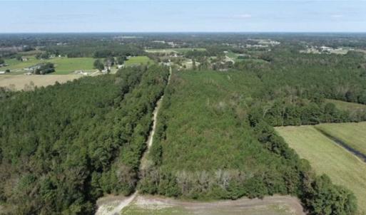 Photo of 20.23 Acres of Hunting and Residential Land For Sale in Robeson County NC!