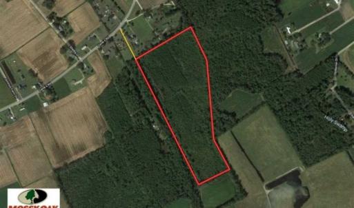 Photo of 20.23 Acres of Hunting and Residential Land For Sale in Robeson County NC!