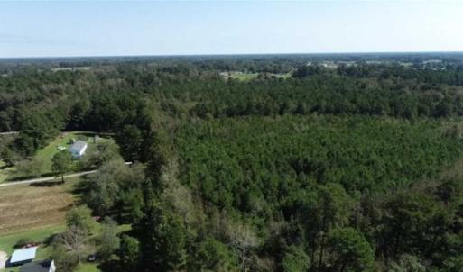 Photo of 20.23 Acres of Hunting and Residential Land For Sale in Robeson County NC!