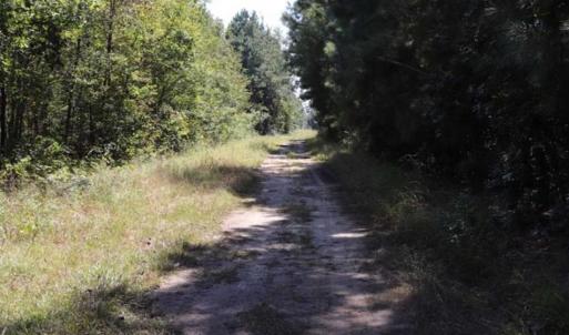 Photo of 20.23 Acres of Hunting and Residential Land For Sale in Robeson County NC!