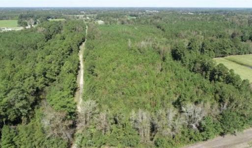 Photo of 20.23 Acres of Hunting and Residential Land For Sale in Robeson County NC!