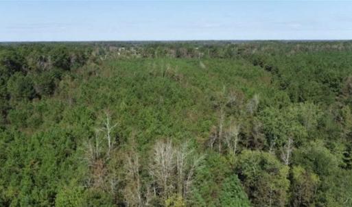 Photo of 20.23 Acres of Hunting and Residential Land For Sale in Robeson County NC!