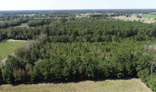 Photo of 20.23 Acres of Hunting and Residential Land For Sale in Robeson County NC!
