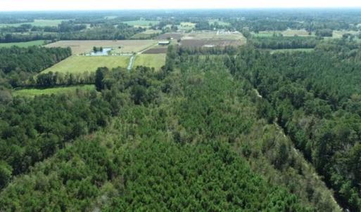 Photo of 20.23 Acres of Hunting and Residential Land For Sale in Robeson County NC!