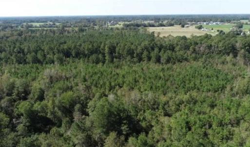 Photo of 20.23 Acres of Hunting and Residential Land For Sale in Robeson County NC!