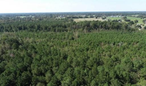 Photo of 20.23 Acres of Hunting and Residential Land For Sale in Robeson County NC!