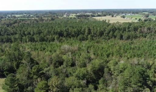 Photo of 20.23 Acres of Hunting and Residential Land For Sale in Robeson County NC!