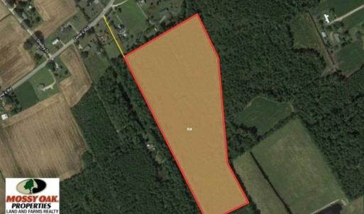 Photo of 20.23 Acres of Hunting and Residential Land For Sale in Robeson County NC!