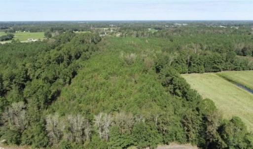 Photo of 20.23 Acres of Hunting and Residential Land For Sale in Robeson County NC!