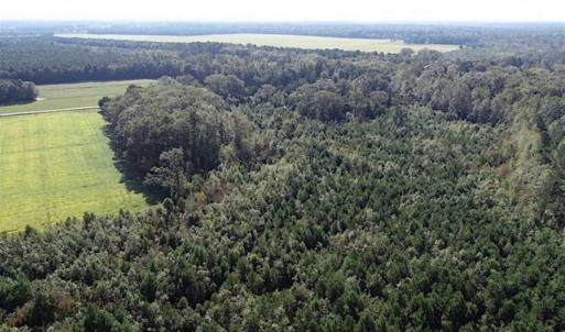 Photo of SOLD!!  32 Acres of Residential and Hunting Land For Sale in Chesapeake City VA!