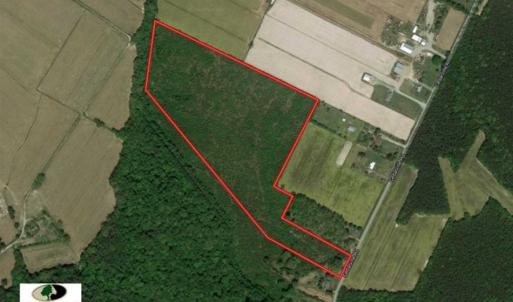 Photo of SOLD!!  32 Acres of Residential and Hunting Land For Sale in Chesapeake City VA!