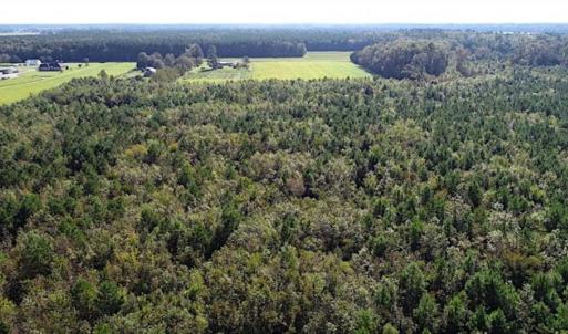 Photo of SOLD!!  32 Acres of Residential and Hunting Land For Sale in Chesapeake City VA!