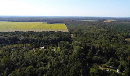 Photo of SOLD!!  32 Acres of Residential and Hunting Land For Sale in Chesapeake City VA!