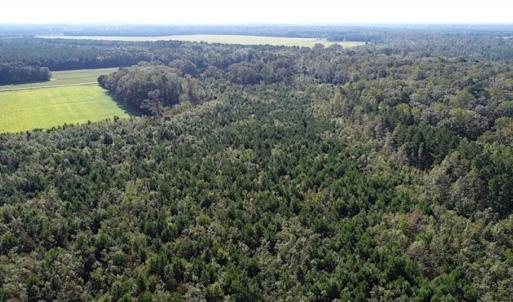 Photo of SOLD!!  32 Acres of Residential and Hunting Land For Sale in Chesapeake City VA!