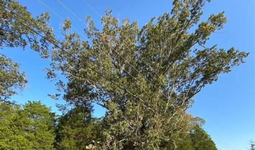 Photo of SOLD!!  32 Acres of Residential and Hunting Land For Sale in Chesapeake City VA!