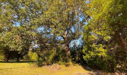 Photo of SOLD!!  32 Acres of Residential and Hunting Land For Sale in Chesapeake City VA!