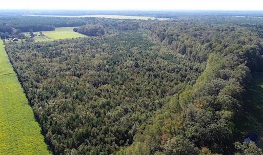 Photo of SOLD!!  32 Acres of Residential and Hunting Land For Sale in Chesapeake City VA!