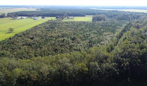 Photo of SOLD!!  32 Acres of Residential and Hunting Land For Sale in Chesapeake City VA!