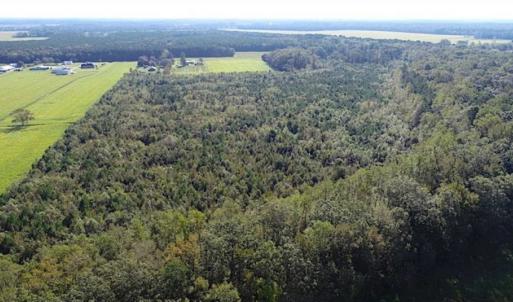 Photo of SOLD!!  32 Acres of Residential and Hunting Land For Sale in Chesapeake City VA!