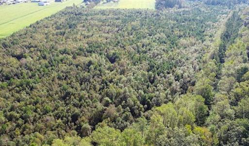 Photo of SOLD!!  32 Acres of Residential and Hunting Land For Sale in Chesapeake City VA!