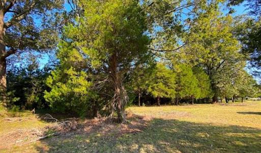 Photo of SOLD!!  32 Acres of Residential and Hunting Land For Sale in Chesapeake City VA!
