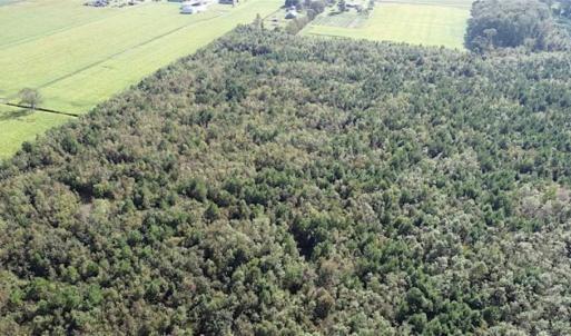 Photo of SOLD!!  32 Acres of Residential and Hunting Land For Sale in Chesapeake City VA!