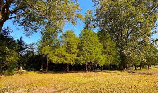 Photo of SOLD!!  32 Acres of Residential and Hunting Land For Sale in Chesapeake City VA!