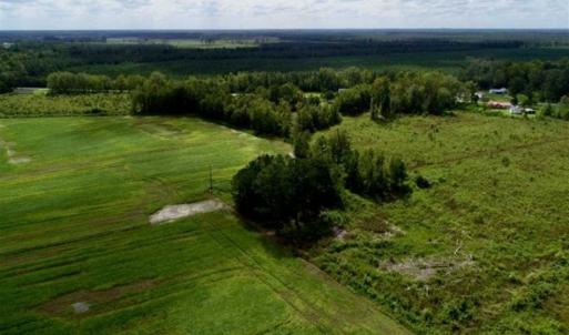 Photo of 80 Acres of Farm and Hunting Land for Sale in Gates County NC!