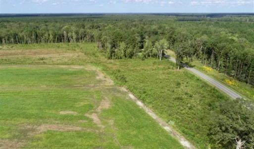 Photo of 80 Acres of Farm and Hunting Land for Sale in Gates County NC!