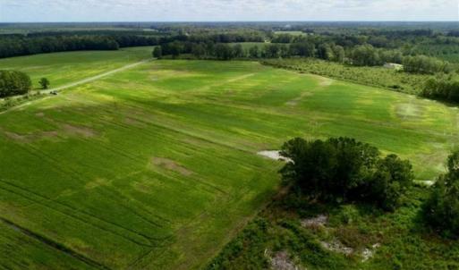Photo of 80 Acres of Farm and Hunting Land for Sale in Gates County NC!