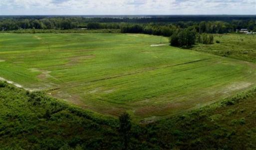 Photo of 80 Acres of Farm and Hunting Land for Sale in Gates County NC!