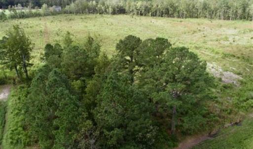 Photo of 80 Acres of Farm and Hunting Land for Sale in Gates County NC!