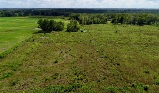 Photo of 80 Acres of Farm and Hunting Land for Sale in Gates County NC!