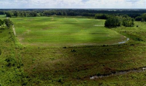 Photo of 80 Acres of Farm and Hunting Land for Sale in Gates County NC!